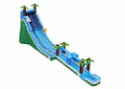 2720Tropical20Giant20Top 1718055819 27' Tropical Giant