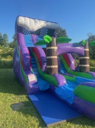 Purple20Plummet2018 1738106196 18' Purple Plummet