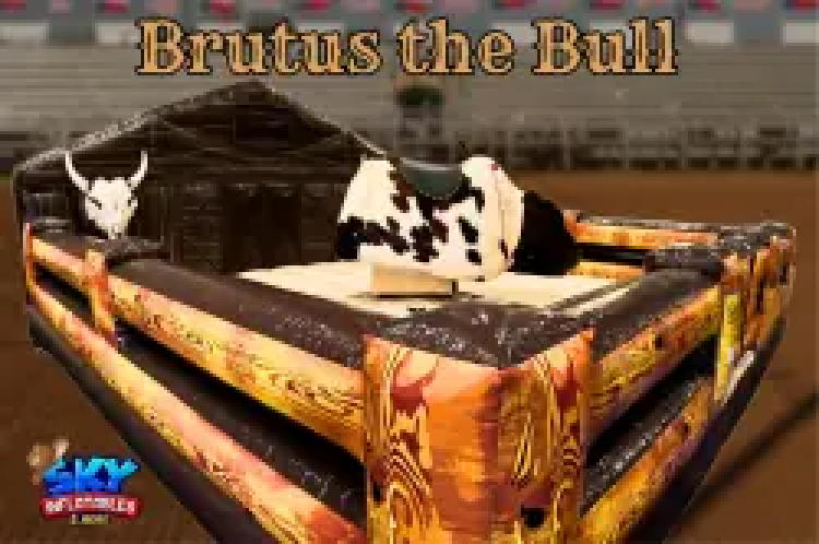 MECHANICAL BULL